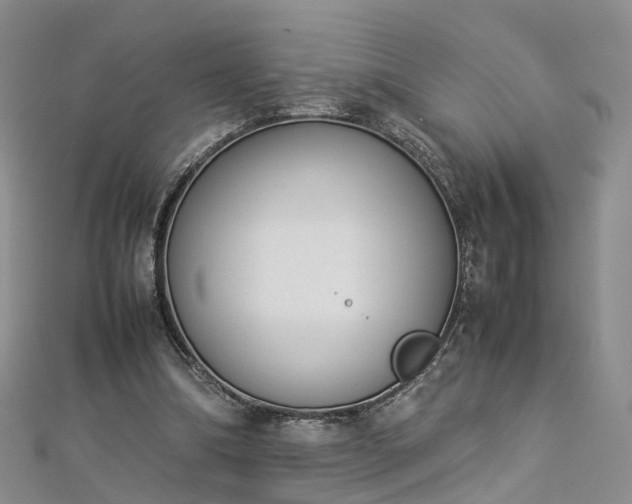 X0000112870298200908281630