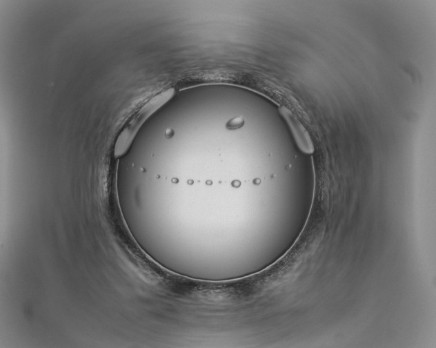 X0000112870299200908281630