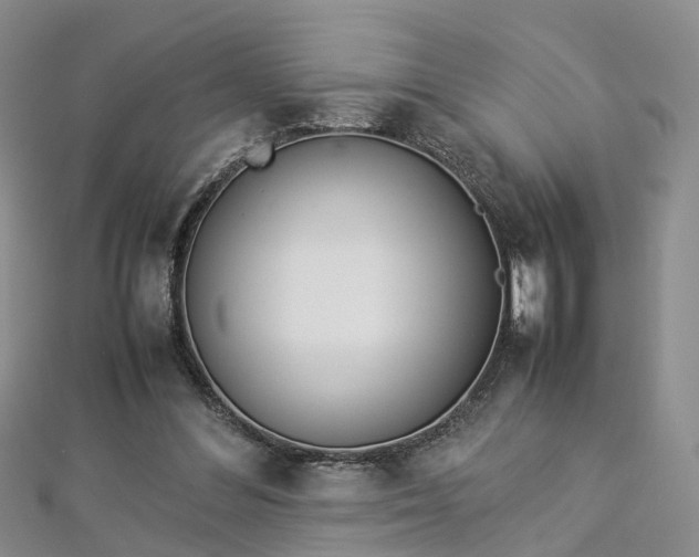 X0000112870300200908281630