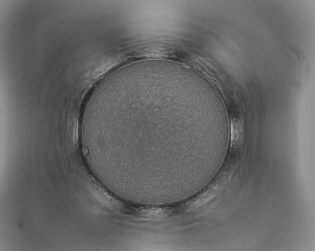 X0000112870301200908281630