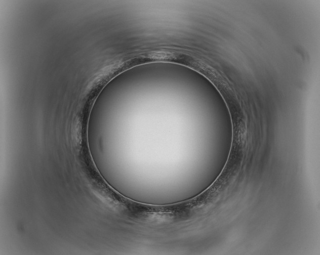 X0000112870303200908281630