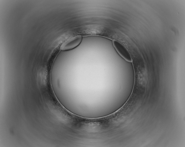 X0000112870304200908281630