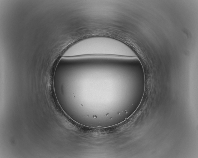 X0000112870305200908281630