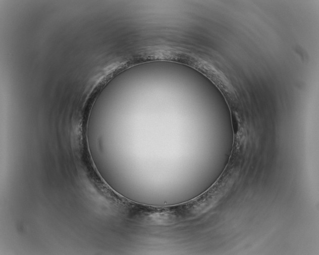 X0000112870306200908281630