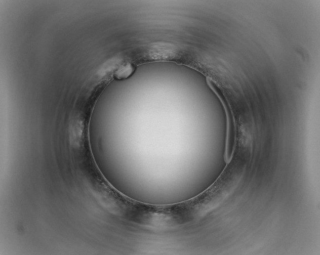 X0000112870308200908281630