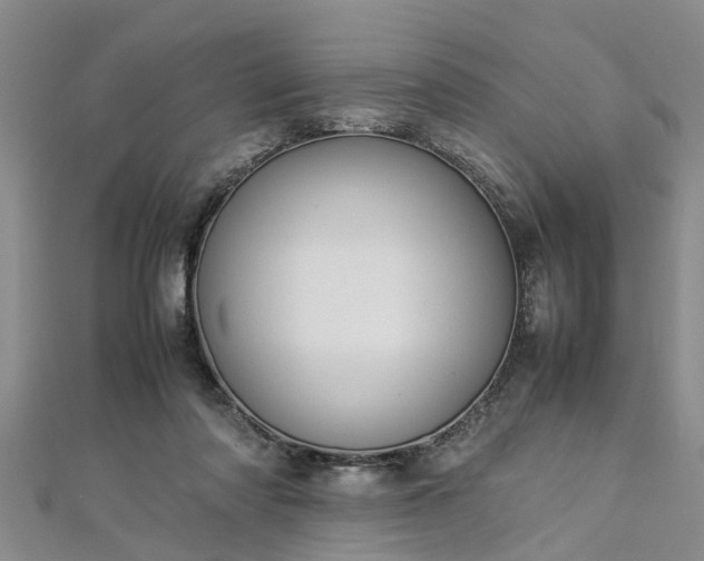 X0000112870310200908281630