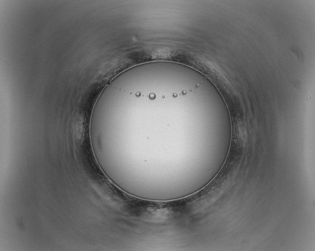 X0000112870311200908281630