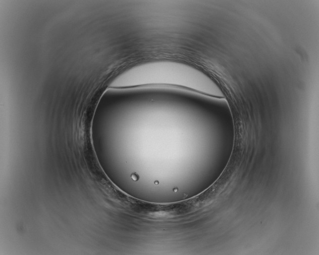 X0000112870312200908281630