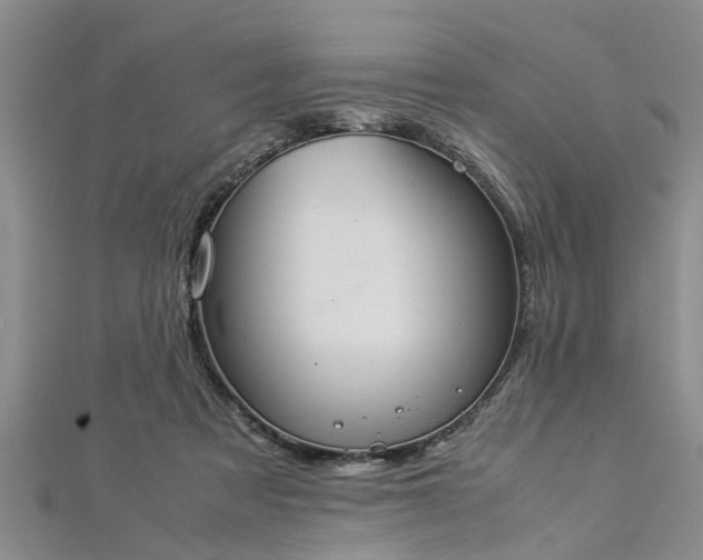 X0000112870313200908281630