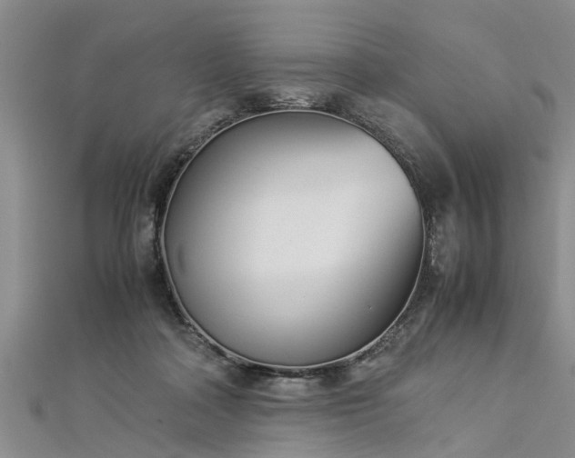 X0000112870314200908281630