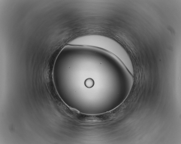 X0000112870316200908281630