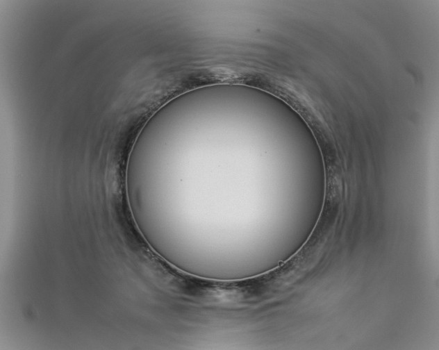 X0000112870317200908281630