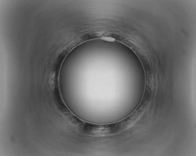 X0000112870319200908281630