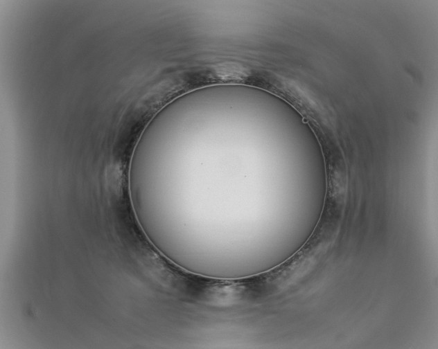 X0000112870321200908281630