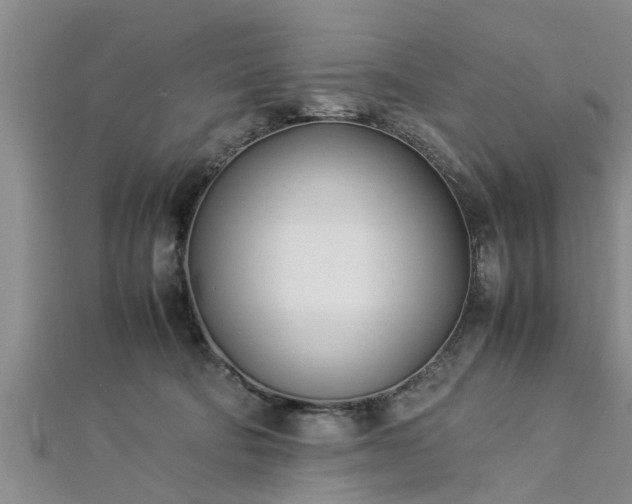 X0000112870322200908281630