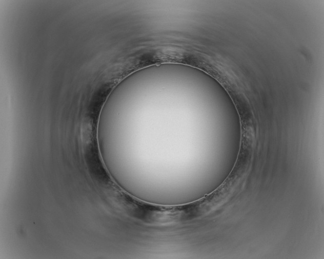 X0000112870323200908281630