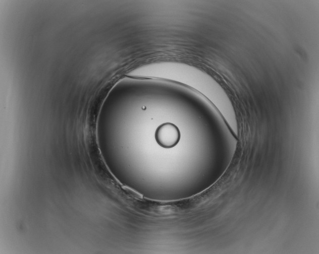 X0000112870324200908281630