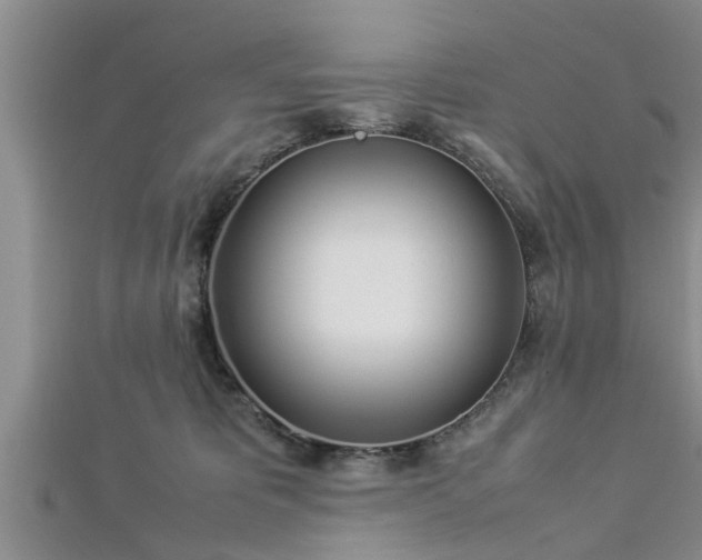 X0000112870325200908281630