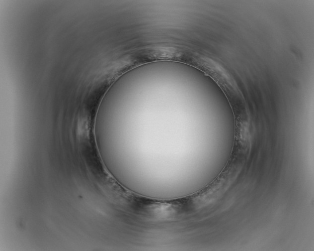 X0000112870326200908281630