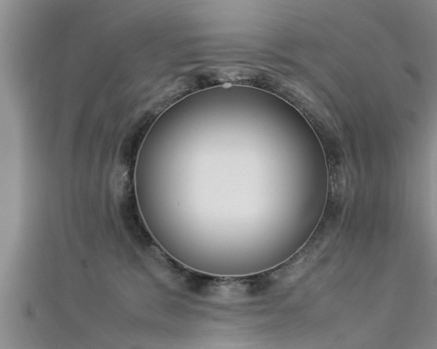 X0000112870327200908281630