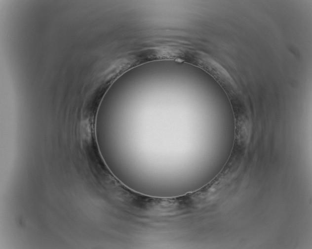 X0000112870329200908281630