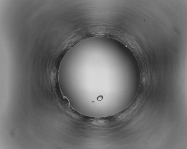 X0000112870332200908281630