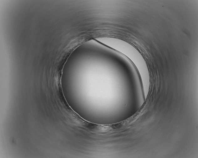 X0000112870333200908281630