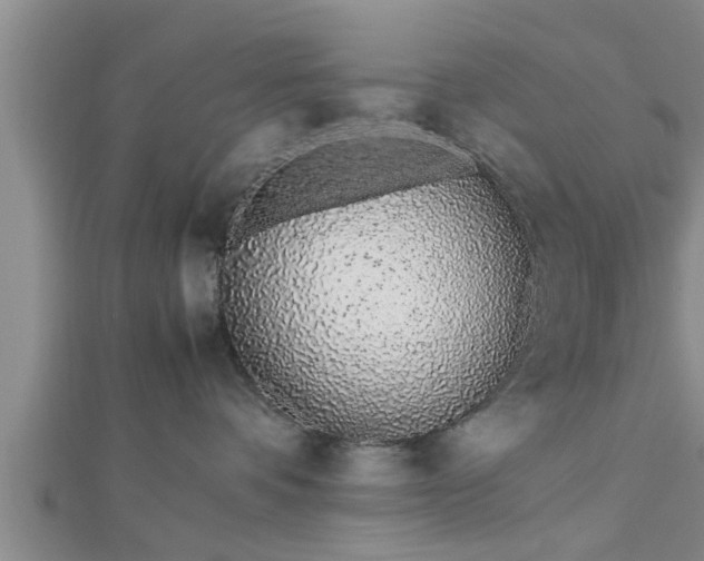 X0000112870336200908281630