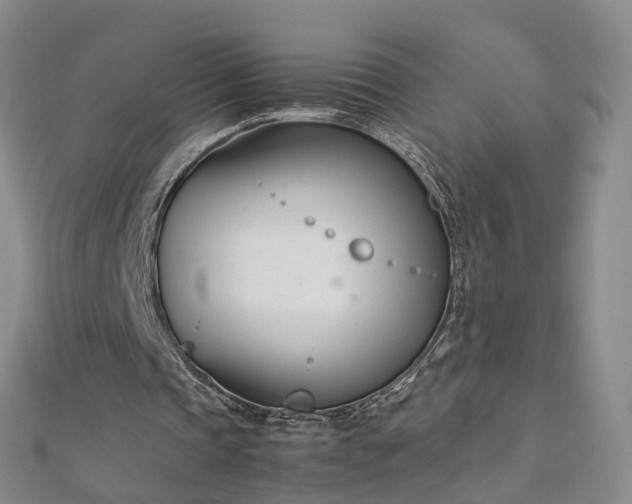 X0000112870337200908281629