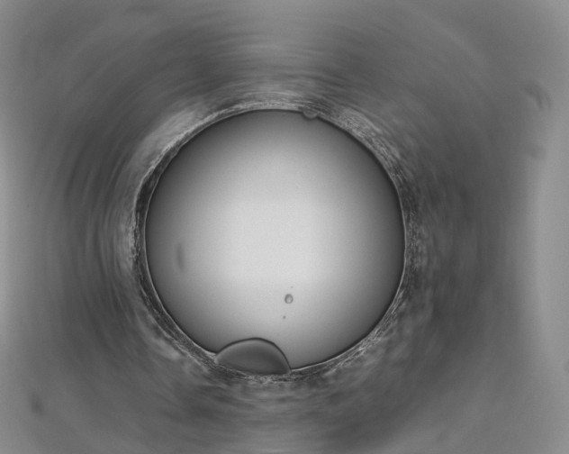 X0000112870338200908281629