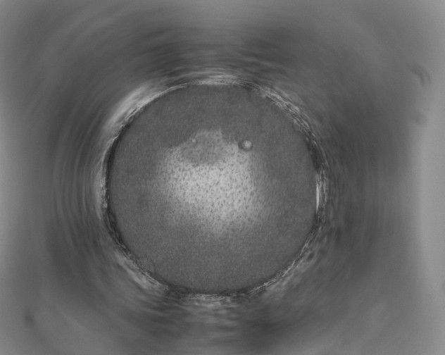 X0000112870339200908281629