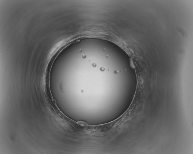 X0000112870340200908281629