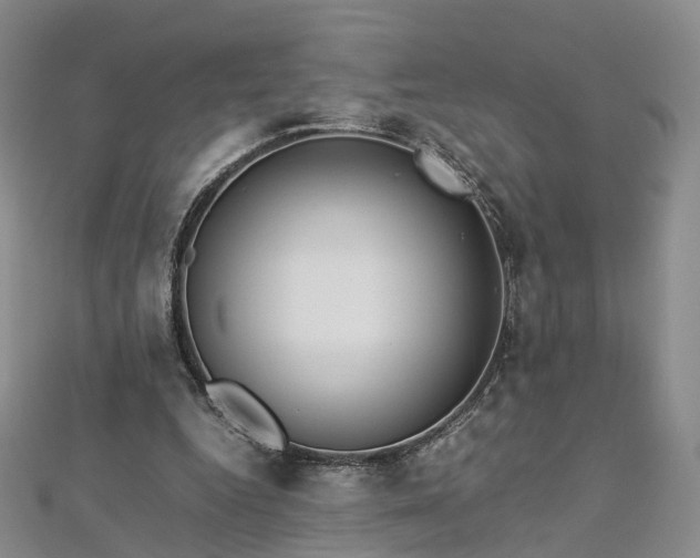 X0000112870344200908281629