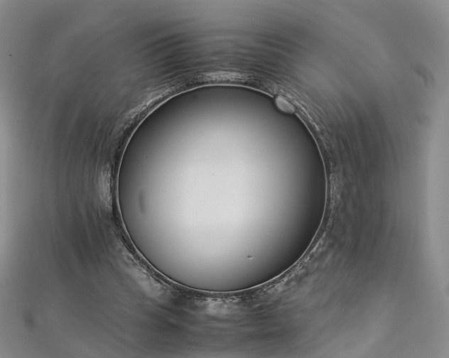 X0000112870345200908281629