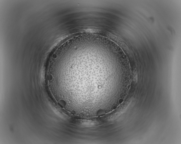 X0000112870347200908281629