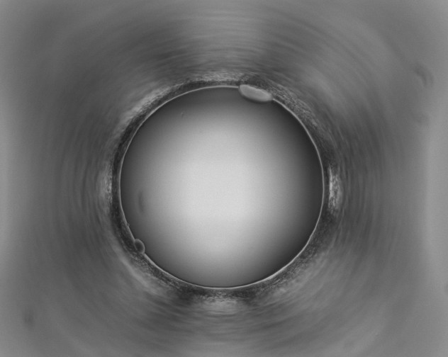 X0000112870348200908281629