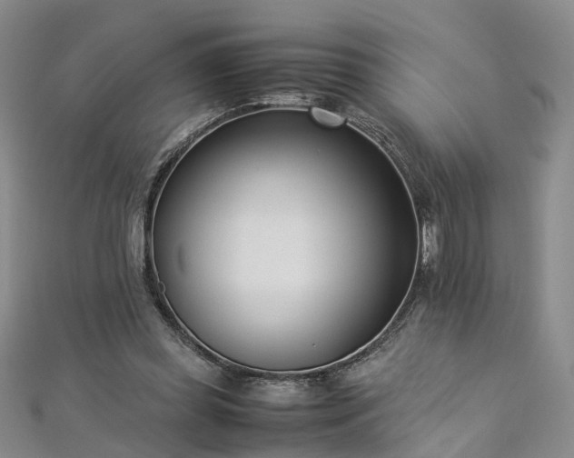 X0000112870349200908281629