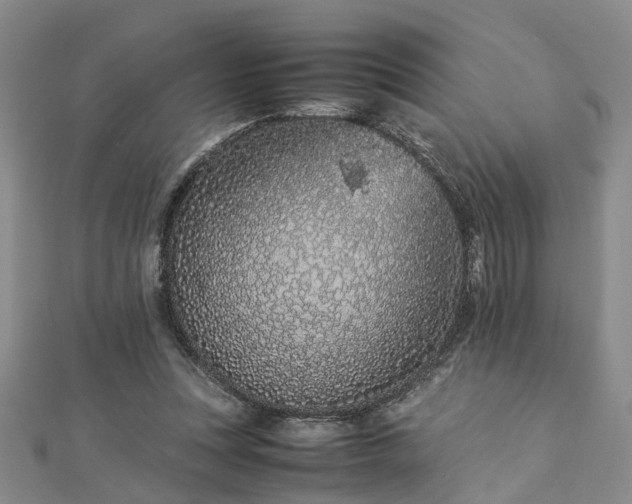 X0000112870351200908281630