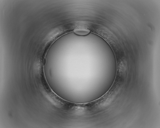 X0000112870352200908281630