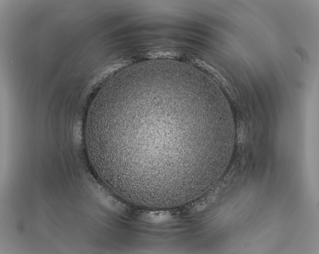 X0000112870353200908281630