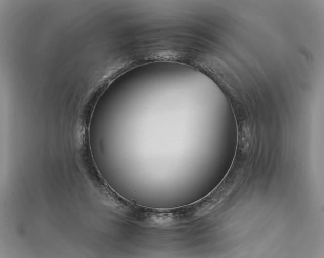 X0000112870355200908281630