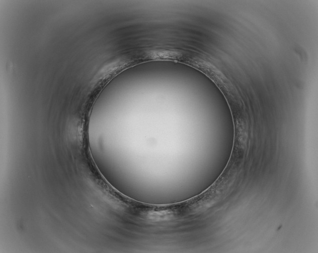 X0000112870357200908281630