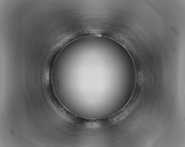 X0000112870358200908281630