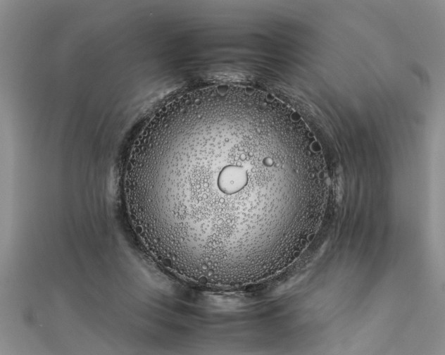 X0000112870359200908281630