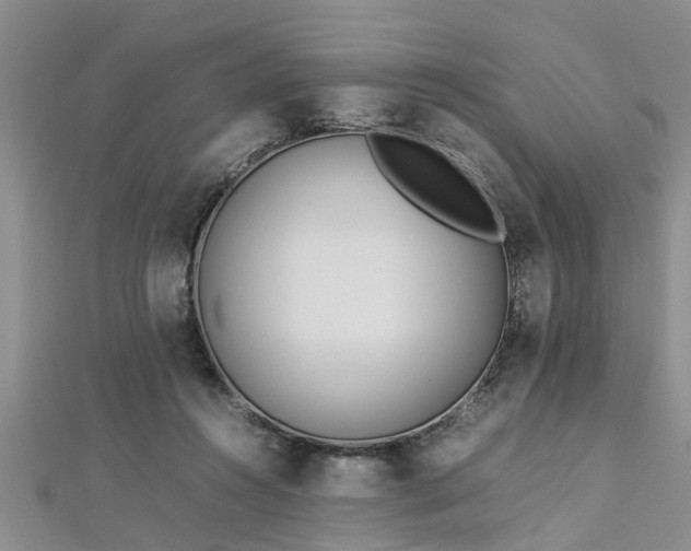 X0000112870360200908281630