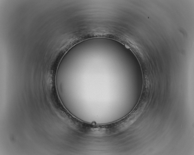 X0000112870362200908281630