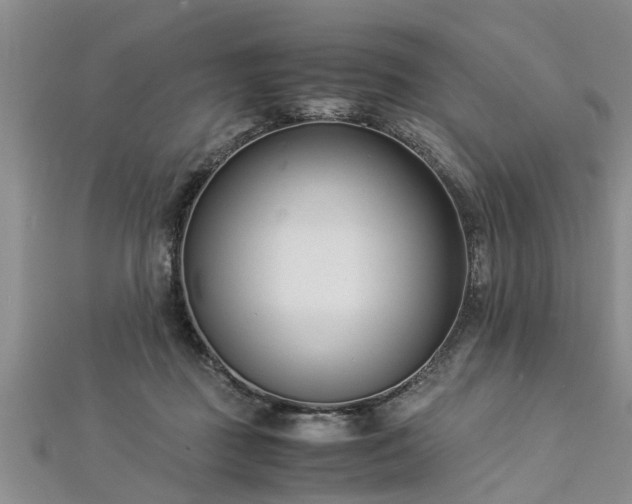 X0000112870363200908281630