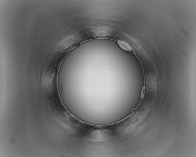 X0000112870364200908281630