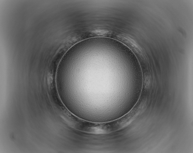 X0000112870365200908281630