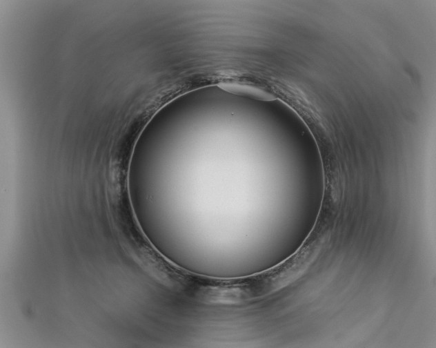 X0000112870366200908281630